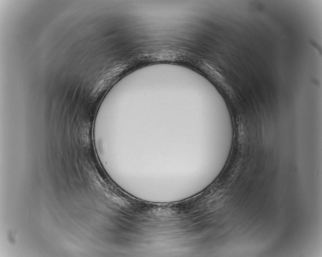 X0000099520537200806051213