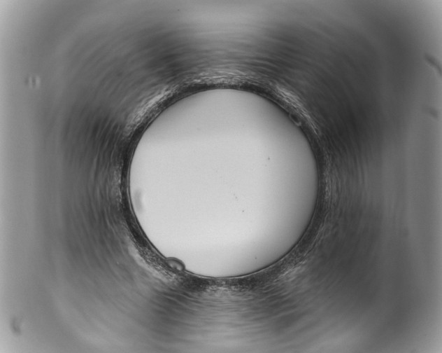 X0000099520538200806051213