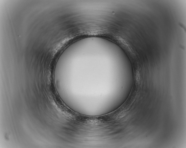 X0000099520540200806051213