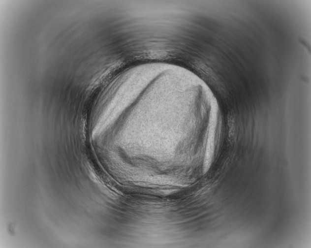 X0000099520542200806051214