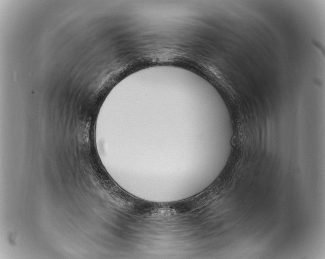 X0000099520543200806051214