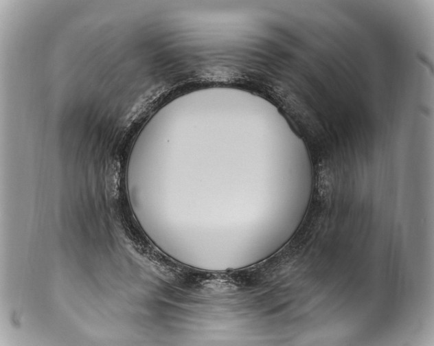 X0000099520544200806051214