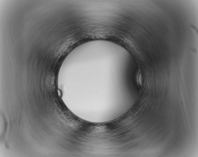 X0000099520548200806051214