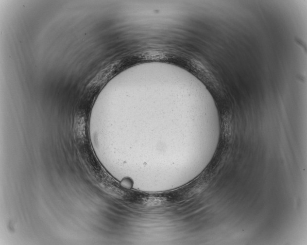 X0000099520549200806051214