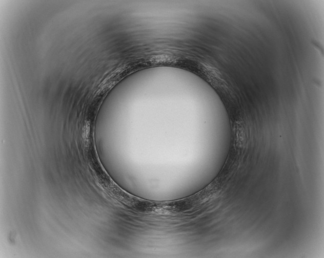 X0000099520550200806051214