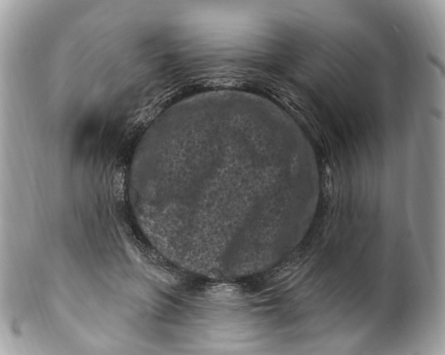 X0000099520551200806051214