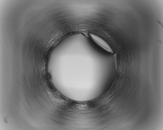 X0000099520552200806051214