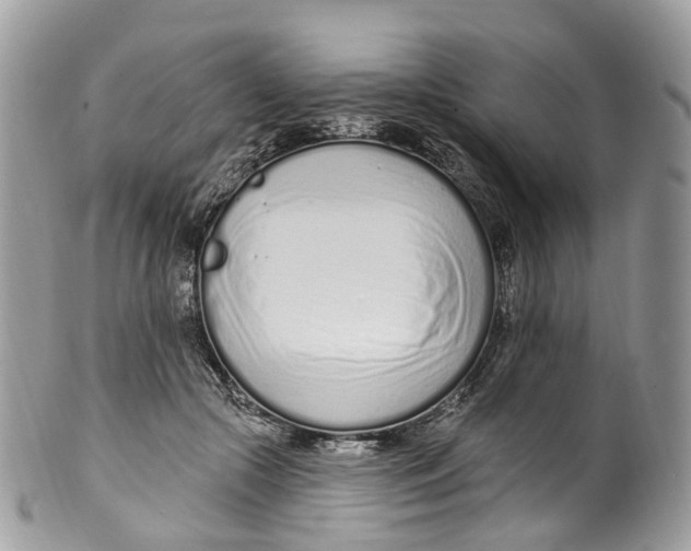 X0000099520553200806051214