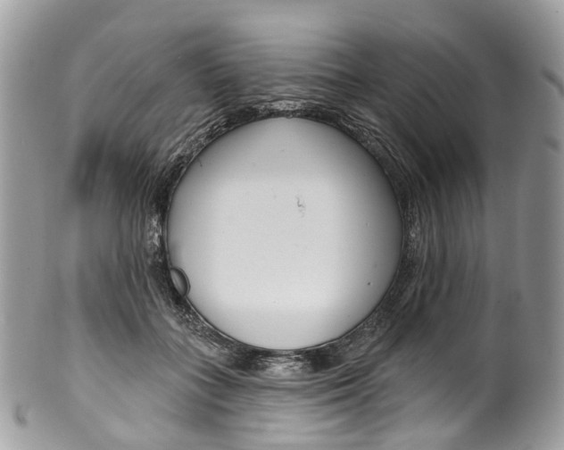 X0000099520555200806051214