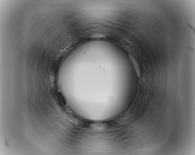 X0000099520556200806051214