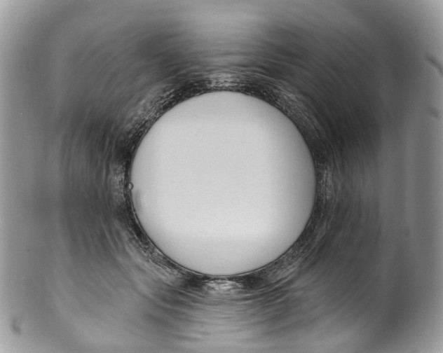 X0000099520557200806051214