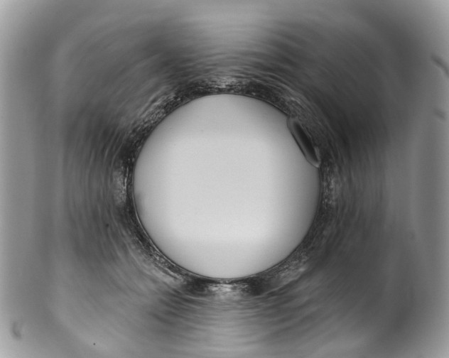 X0000099520558200806051214