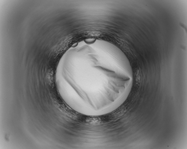 X0000099520559200806051214