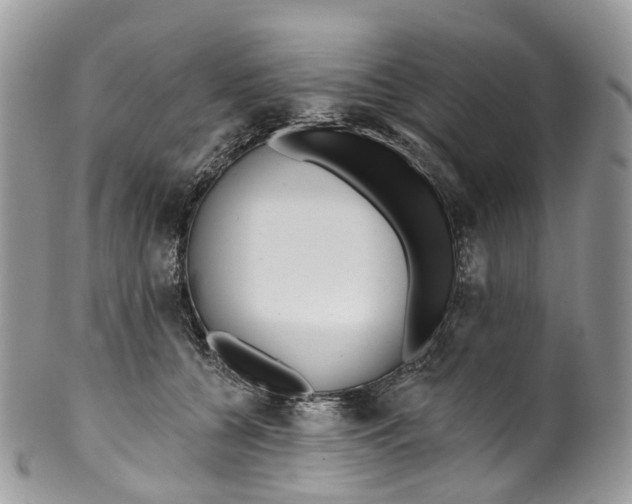 X0000099520560200806051214