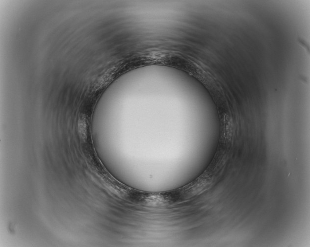 X0000099520562200806051214