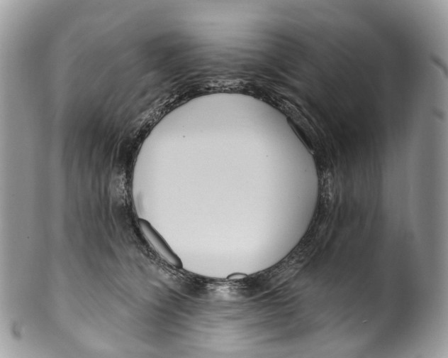 X0000099520564200806051214