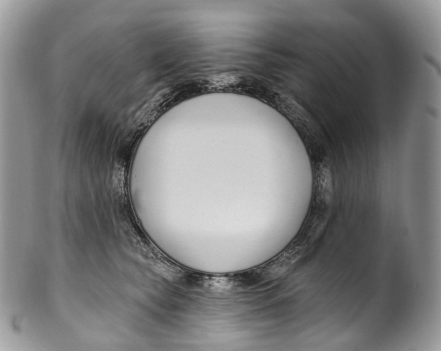 X0000099520565200806051214