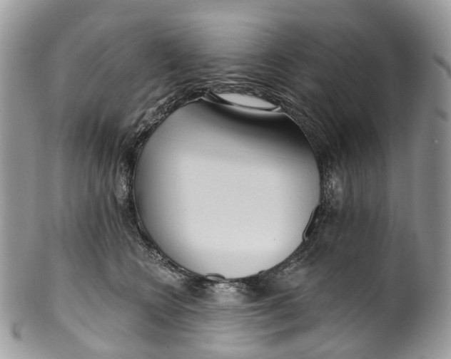 X0000099520566200806051214