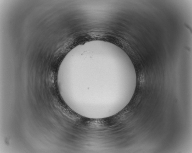 X0000099520567200806051214