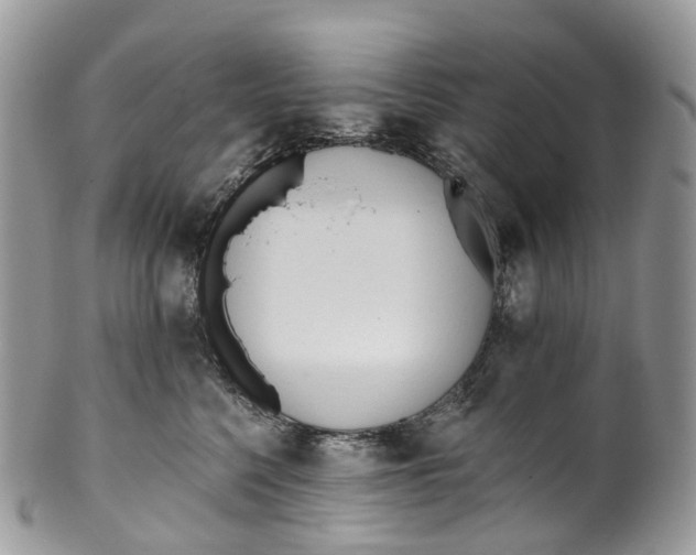 X0000099520568200806051214