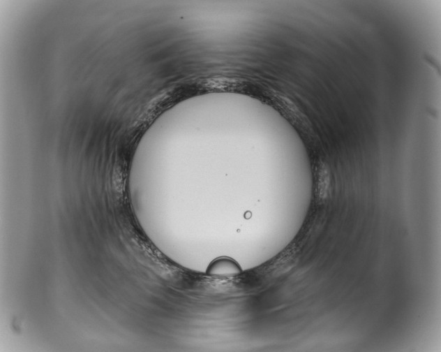 X0000099520569200806051214