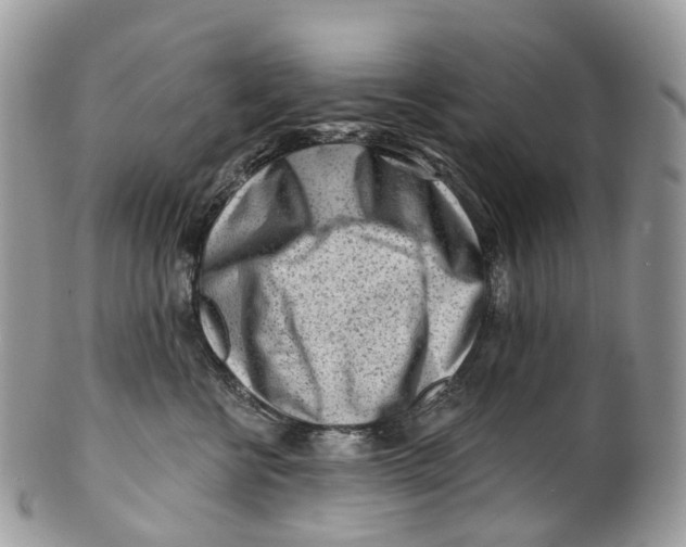 X0000099520570200806051214