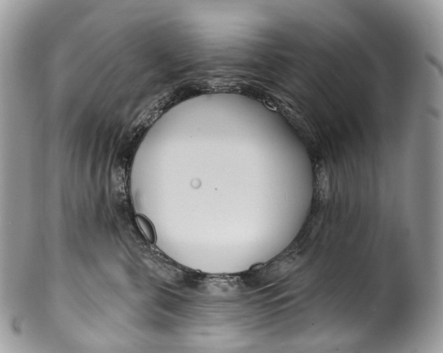 X0000099520571200806051214