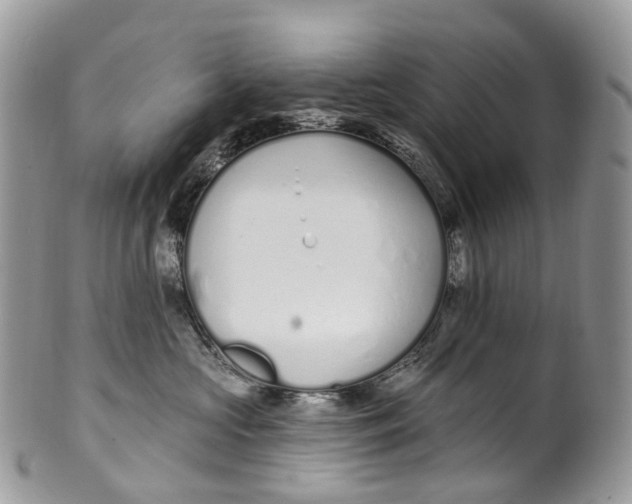 X0000099520573200806051214