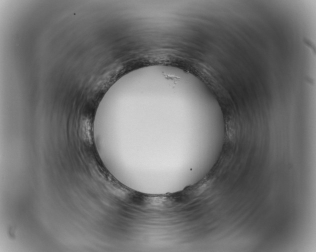 X0000099520575200806051214