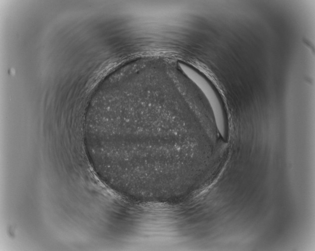 X0000099520577200806051213