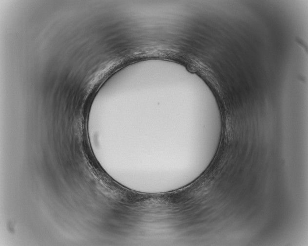 X0000099520578200806051213