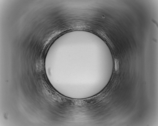 X0000099520579200806051213