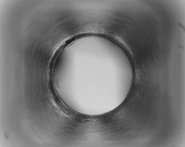 X0000099520580200806051213