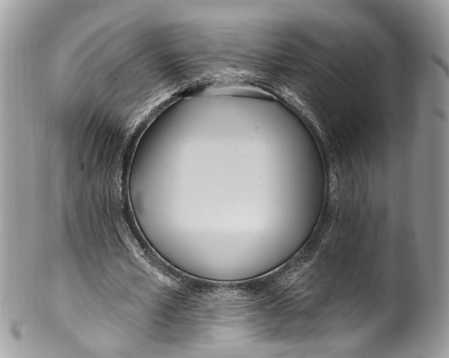 X0000099520581200806051213