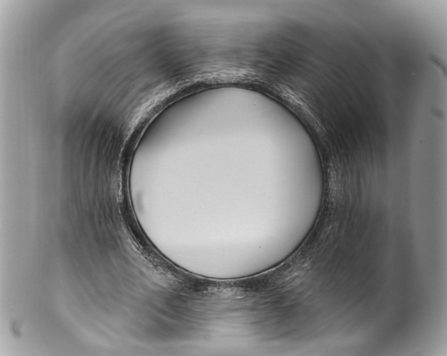 X0000099520582200806051213