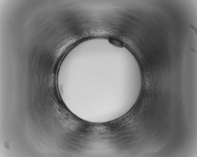 X0000099520583200806051213