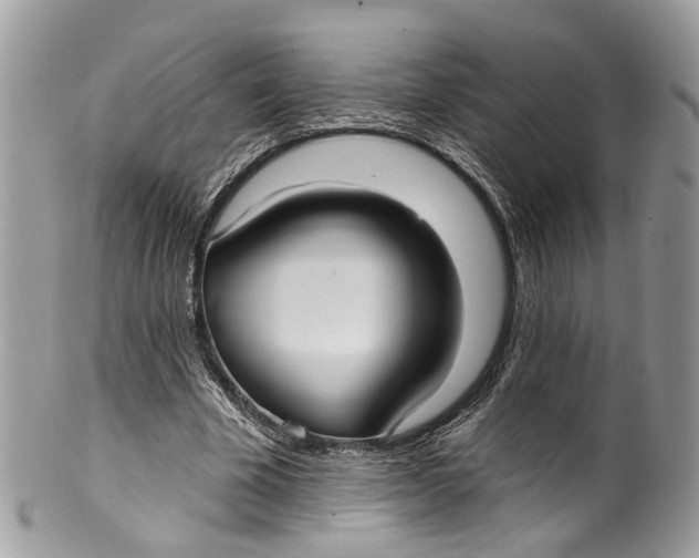 X0000099520585200806051213