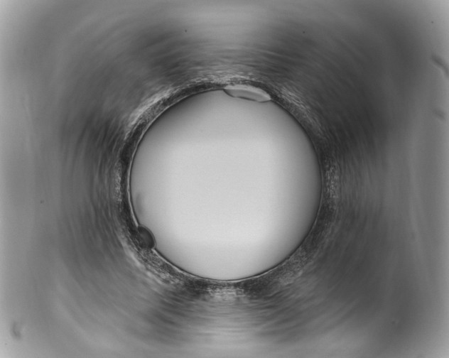 X0000099520587200806051213