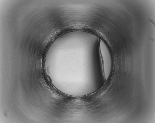 X0000099520589200806051213