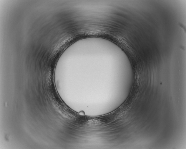 X0000099520591200806051213