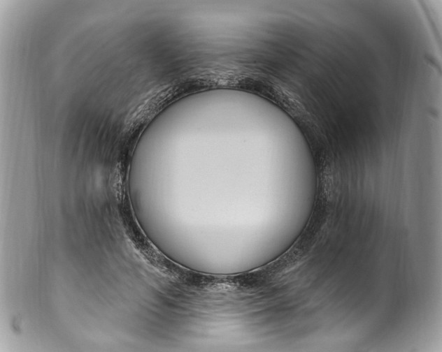 X0000099520594200806051213