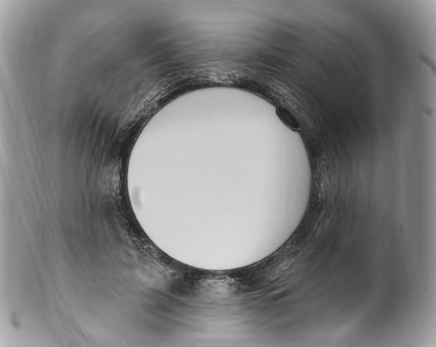 X0000099520595200806051213