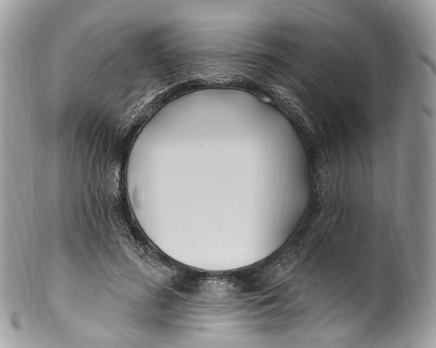 X0000099520596200806051213