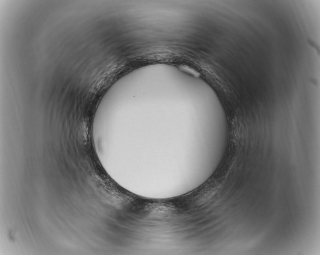 X0000099520597200806051213