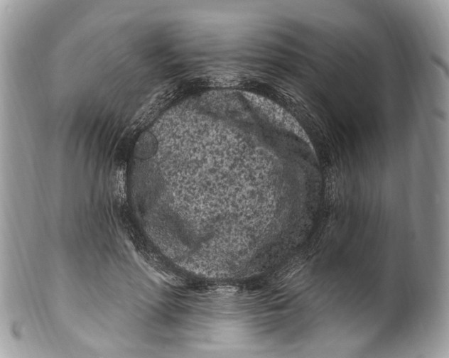 X0000099520598200806051213