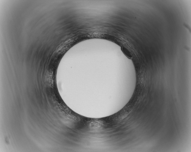 X0000099520599200806051213