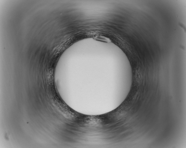 X0000099520601200806051213