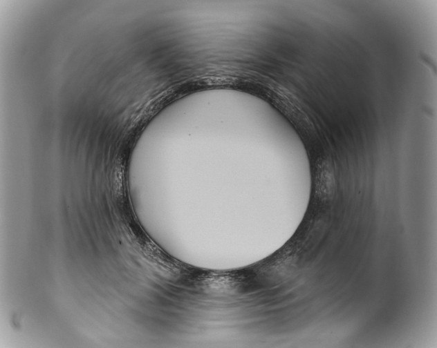 X0000099520604200806051213