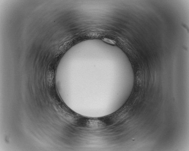 X0000099520605200806051213