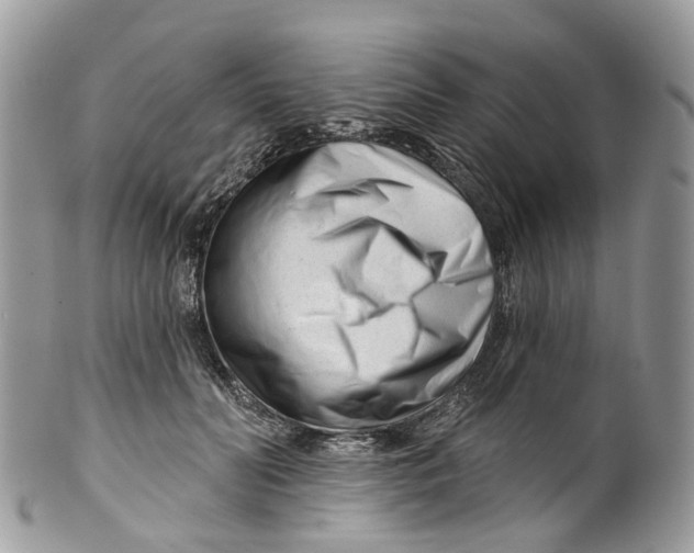 X0000099520606200806051213